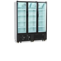 Üvegajtós hűtő – italhűtő  TEFCOLD 1329 / 825 Liter