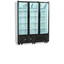 Tefcold Üvegajtós italhűtő - 1329 / 825 Literes – 15951