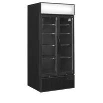 Tefcold Üvegajtós italhűtő - 707 / 535 Literes – 49271