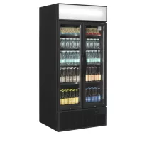 Tefcold Üvegajtós italhűtő - 707 / 535 Literes – 49271
