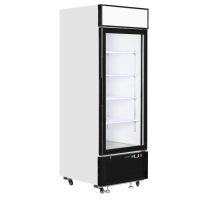 Üvegajtós fagyasztó - TEFCOLD 496 / 405 Liter