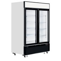 Üvegajtós fagyasztó - TEFCOLD 1108 / 922 Liter