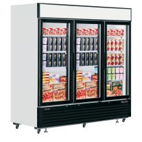 Üvegajtós fagyasztó - TEFCOLD 2050 / 1436 Liter