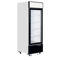 üvegajtós hűtő – italhűtő TEFCOLD 496 / 405 Liter