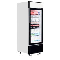 üvegajtós hűtő – italhűtő TEFCOLD 496 / 405 Liter