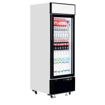 Tefcold Üvegajtós italhűtő - 496 / 405 Literes – 54987