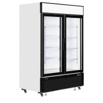 üvegajtós hűtő – italhűtő TEFCOLD 1108 / 922 Liter