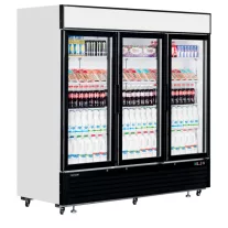 Tefcold Üvegajtós italhűtő - 2050 / 1436 Literes – 54989